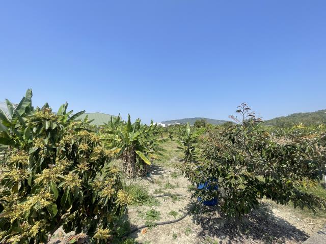 岡山農地-13