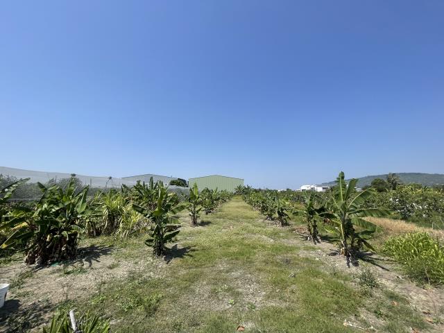 岡山農地-1