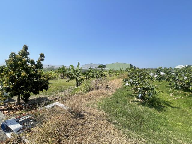 岡山農地-3