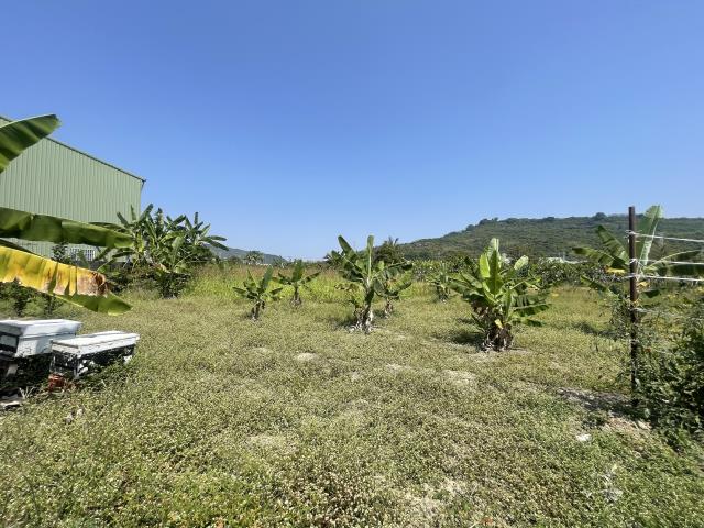 岡山農地-8