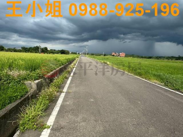 新屋農地-1