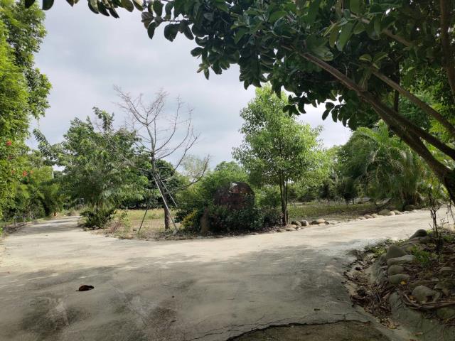 田寮農地-10