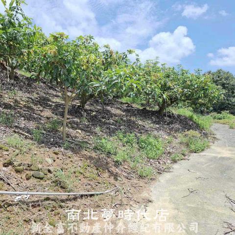 台南楠西農地-4