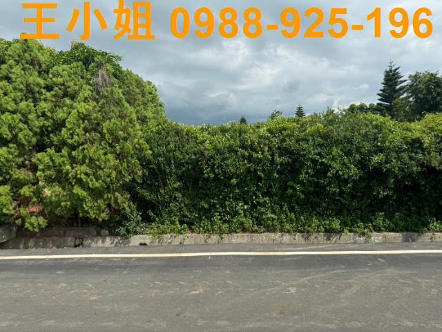 新屋農地-5