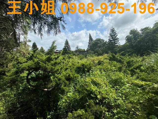 新屋農地-7