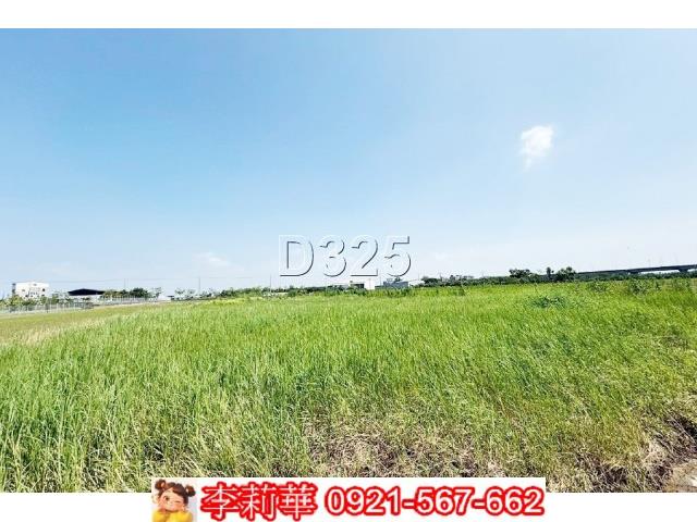 麻豆農地-12