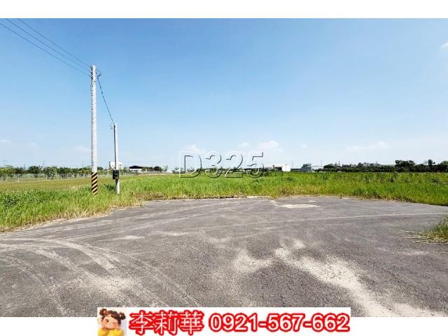 麻豆農地-4