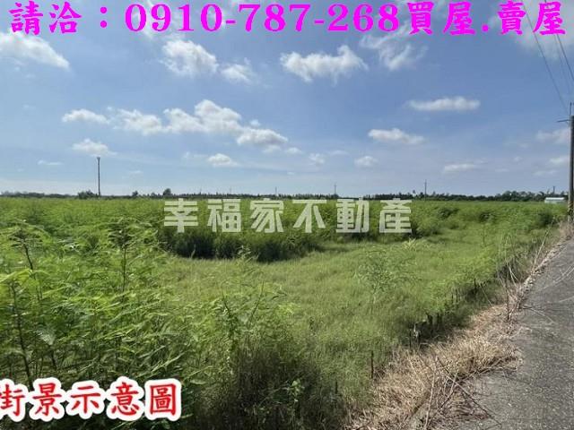 新市農地-14