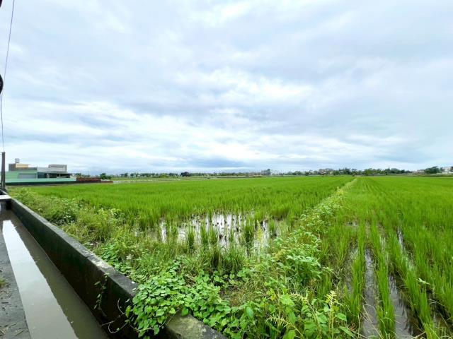 鹿草農地-3