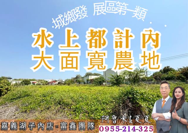 嘉義水上農地-0
