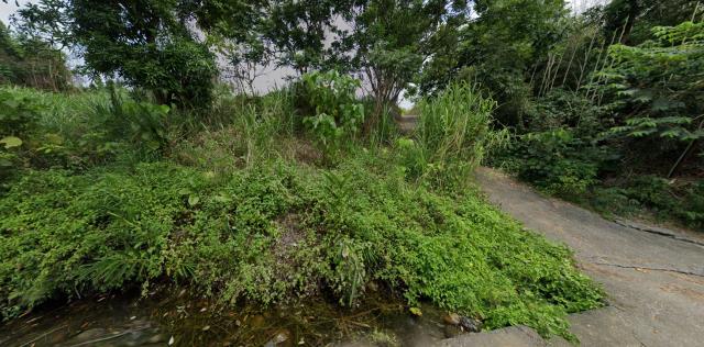 名間法拍名間農地名間土地