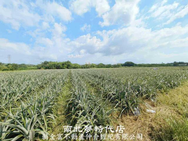台南山上農地-1