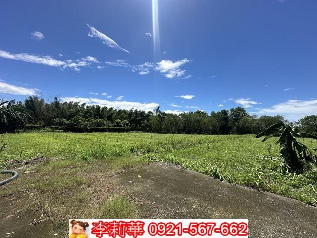 旗山農地-9