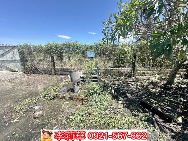 旗山農地-6