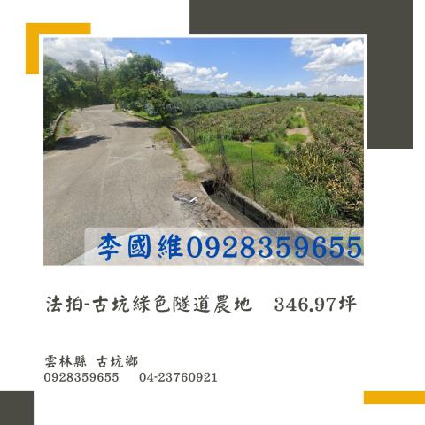 雲林古坑法拍農地-0