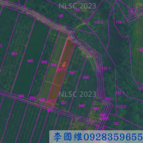雲林古坑法拍農地-2