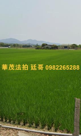 白河農地法拍-2