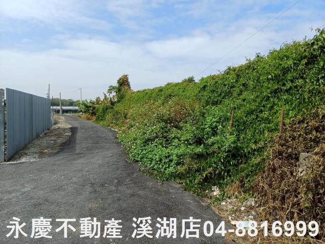 永靖農地-10