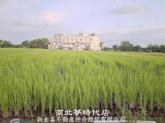 台南農地-1