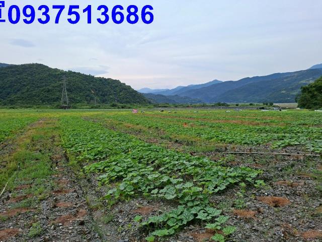 宜蘭農地-3