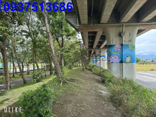 宜蘭宜蘭市農地-1