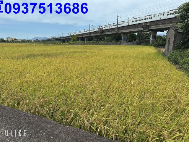 宜蘭宜蘭市農地-5