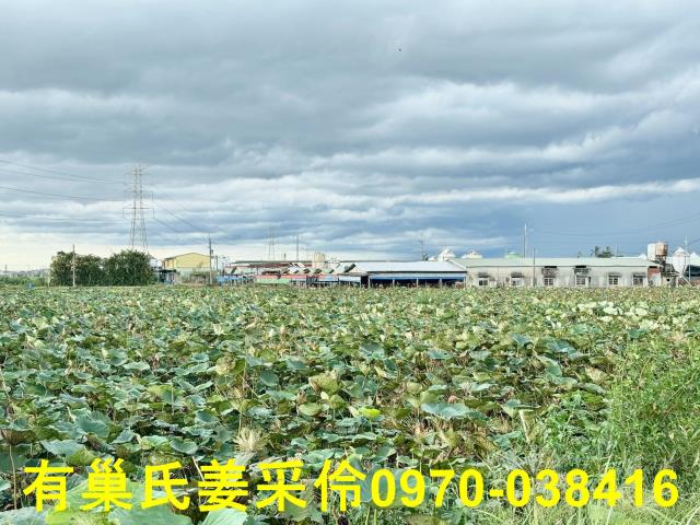 白河農地-9