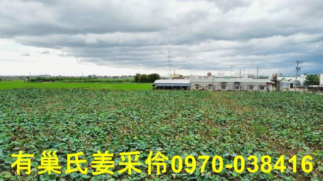 白河農地-11