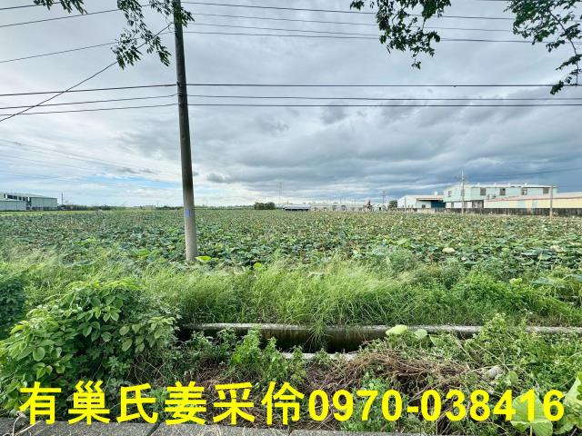 白河農地-14