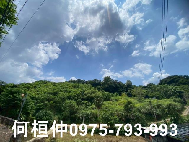 苗栗休閒地-5