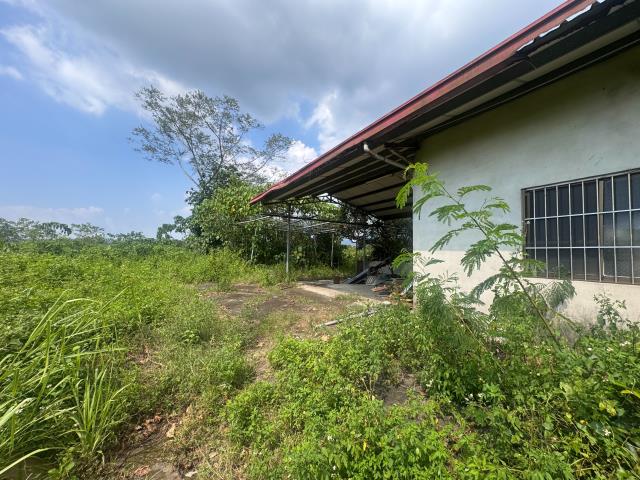 玉井農地-0