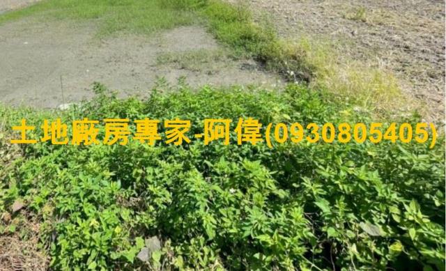 林園農地-0