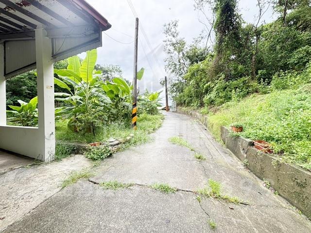 旗山農地-6