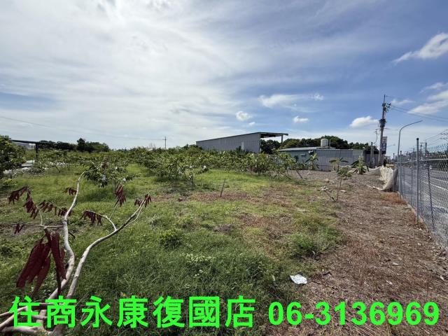 台南安南農地-3