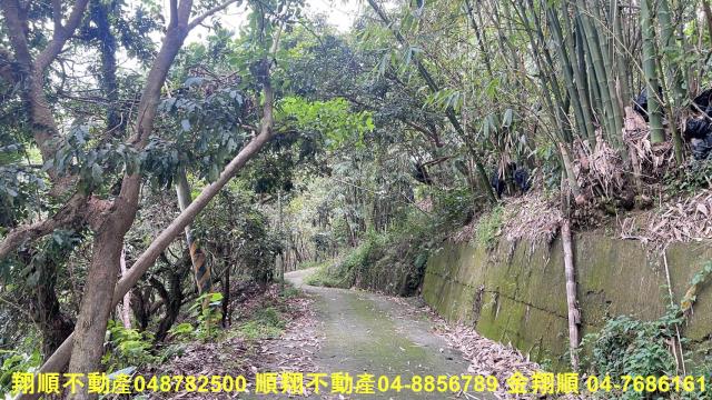 台中太平山坡地-1