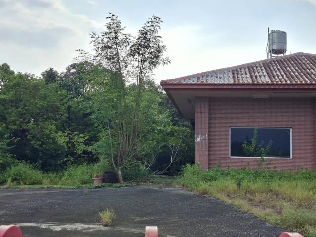 旗山農地-1