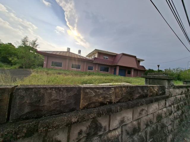 旗山農地-3