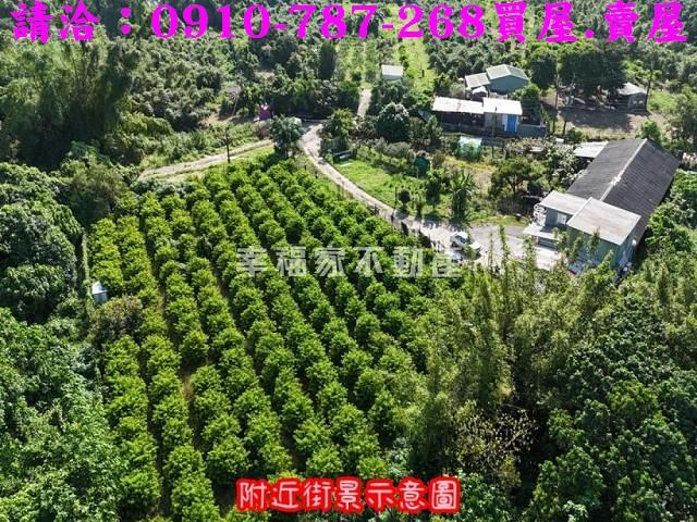 台南農地-9
