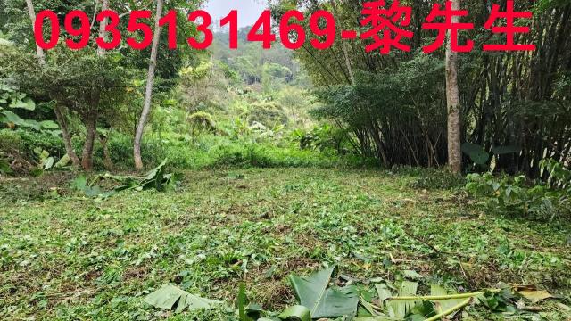 新竹橫山農地-11