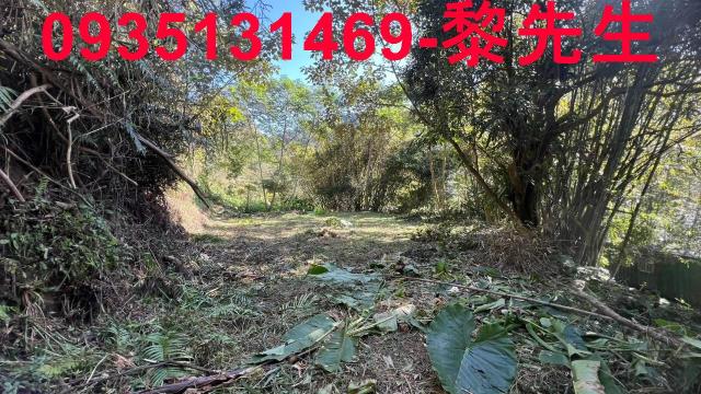 新竹橫山農地-4