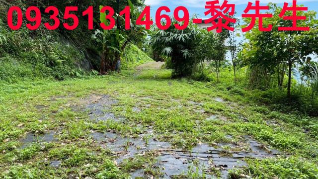 苗栗南庄林地-13