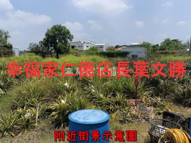 新化農地-8