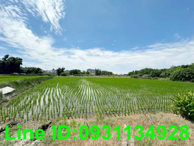 台中后里農地-0