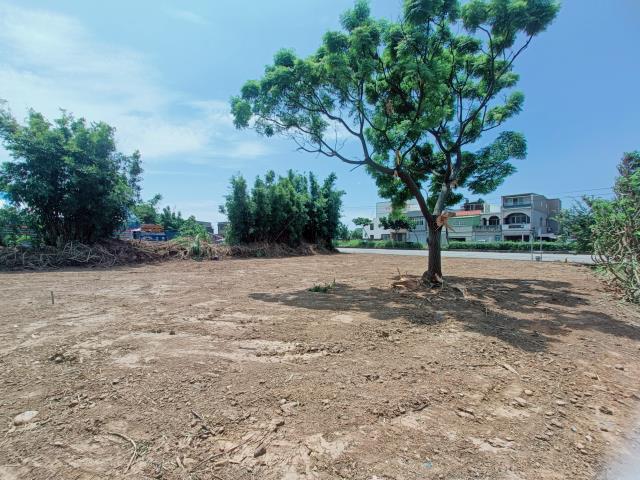 桃園觀音建地-2