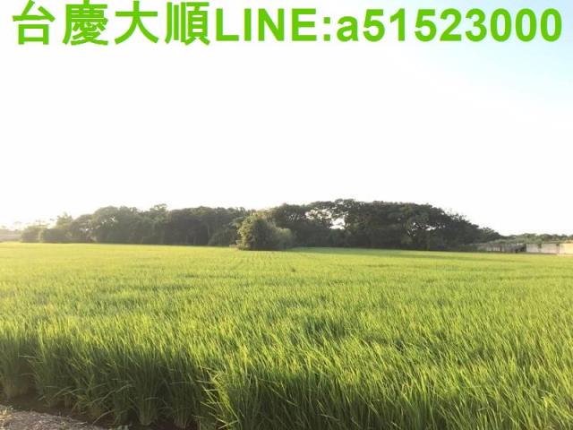 新竹新埔農地-12