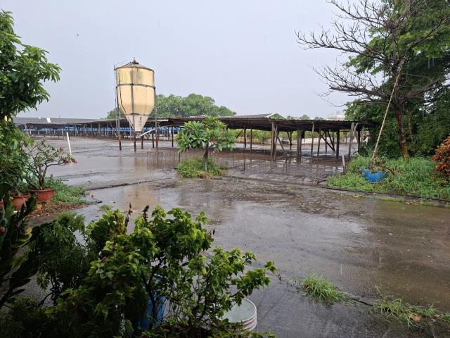 高雄阿蓮農地-4