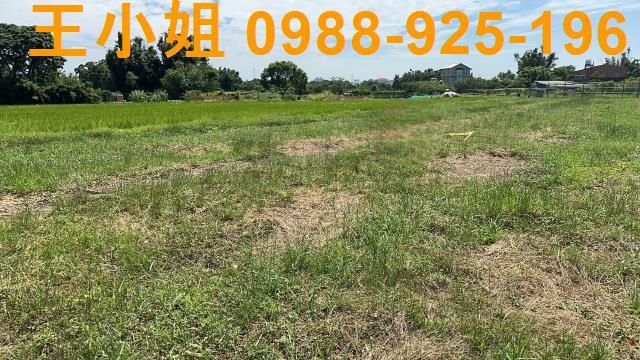 蘆竹農地-4