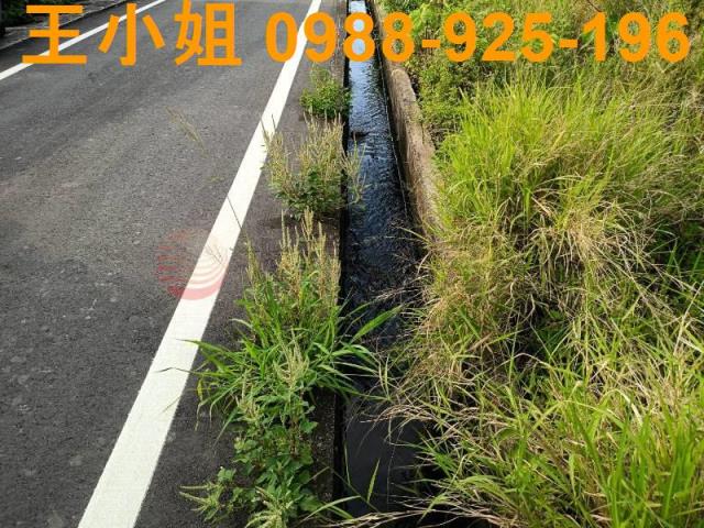 蘆竹農地-4