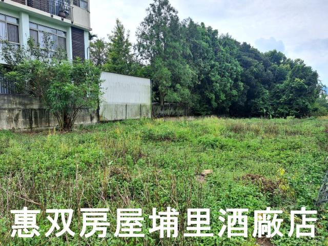 埔里農地-0