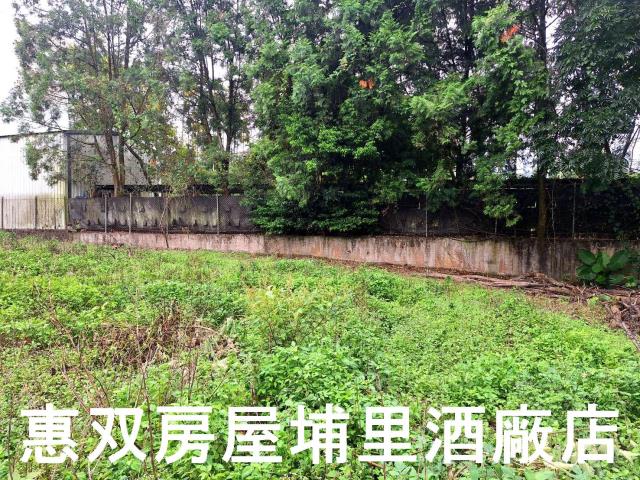埔里農地-5